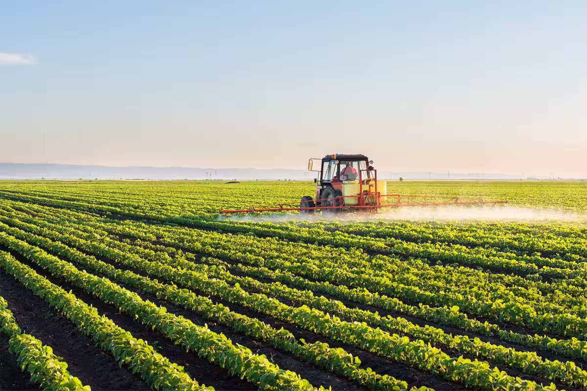 Visual data for agricultural research project image 2